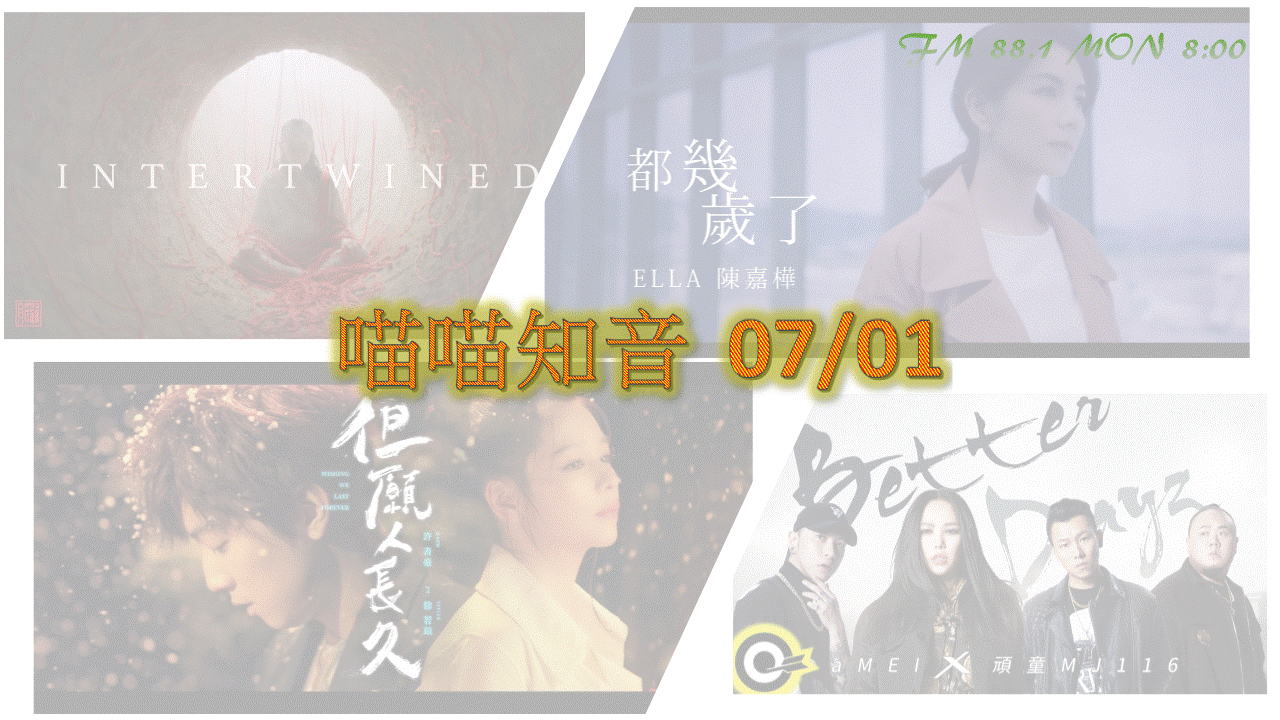 喵喵知音 7/01