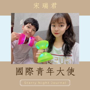 代表台灣的國際青年大使所做的努力